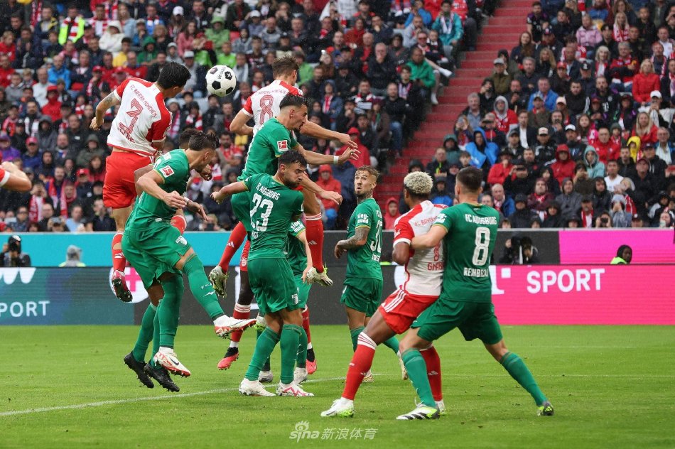 伤病与心理 伤病与心理